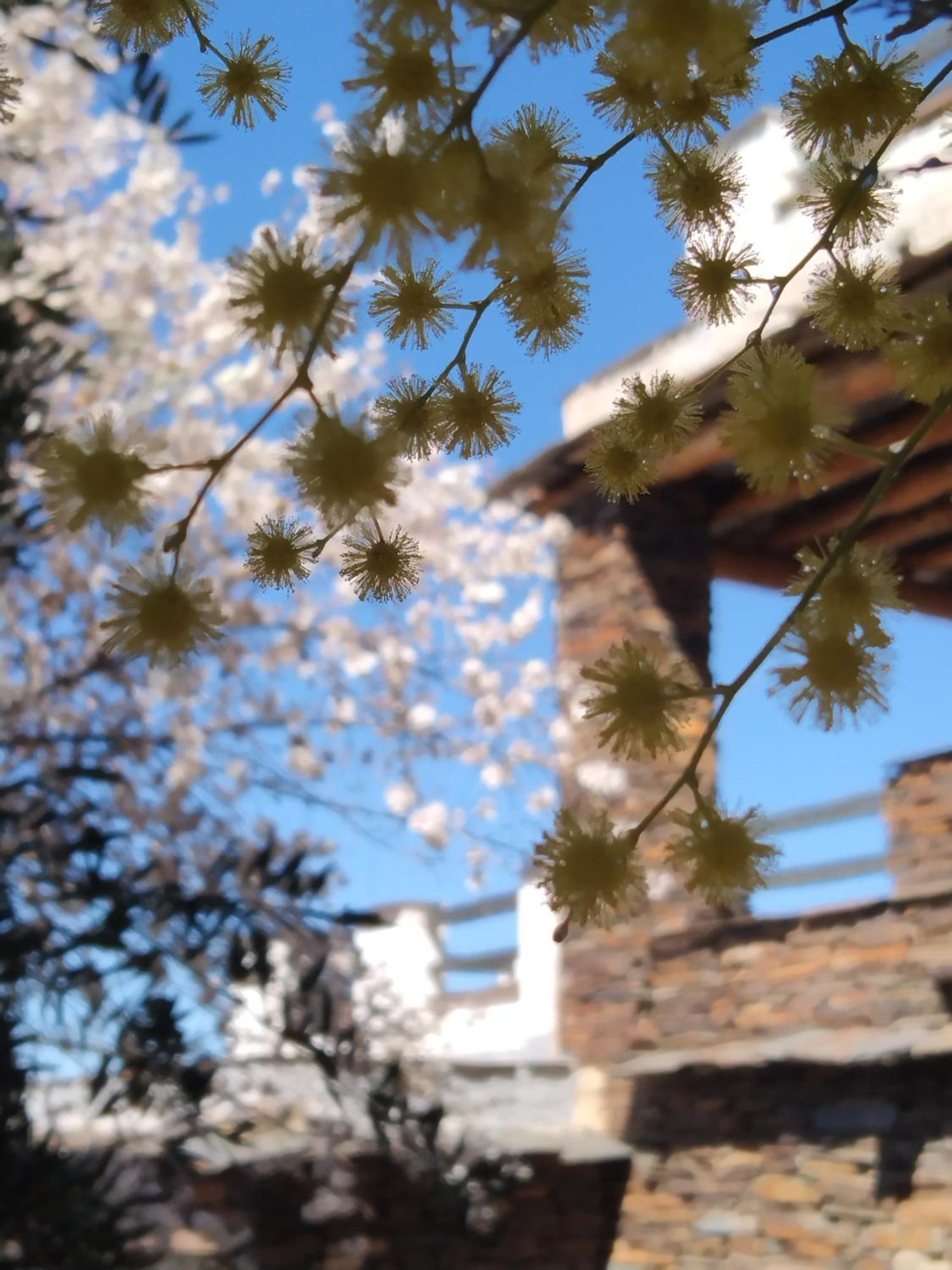 La Posada Del Altozano Lanteira Bagian luar foto