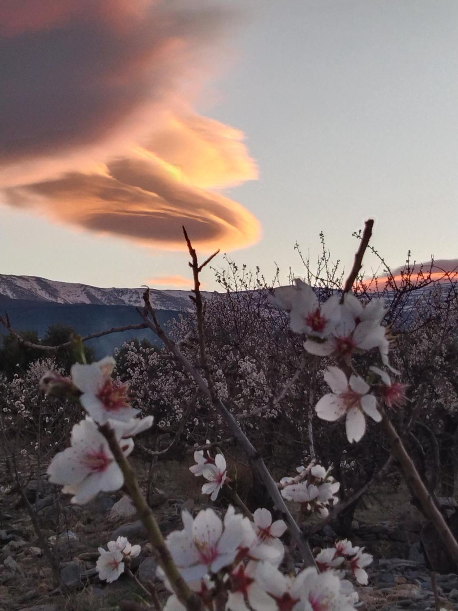 La Posada Del Altozano Lanteira Bagian luar foto
